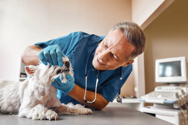 Best Urgent Dental Care in Florence, AL